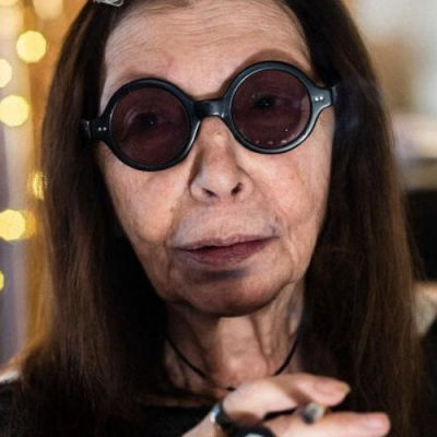 Brigitte Fontaine image